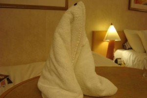 Towel Origami - Seal