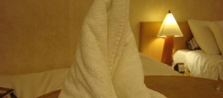 Towel Origami - Seal